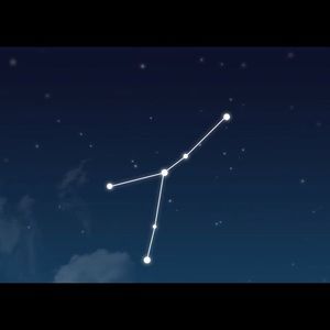 Meet your Posher, Angelica